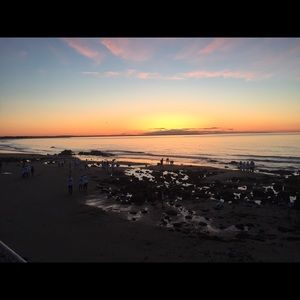 Meet your Posher, Mallory